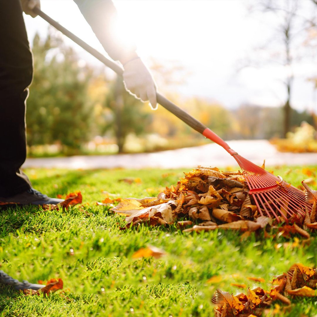 General Yard Cleaning and Debris Removal